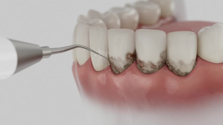 Reliable Dental contractor in Westland, MI by Dentist Open Now